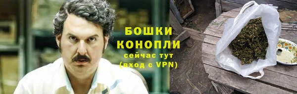 прущие грибы Покровск