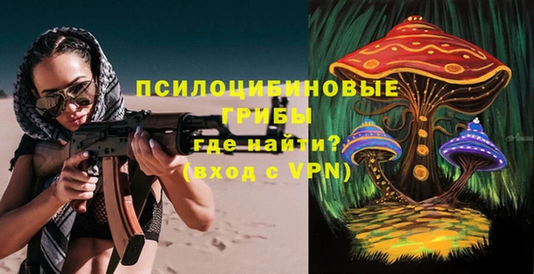 прущие грибы Покровск