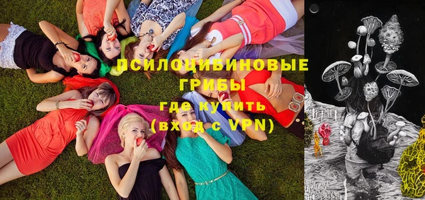 прущие грибы Покровск