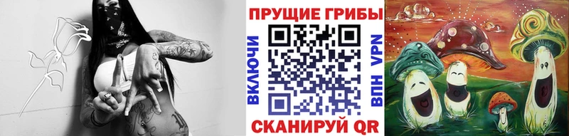 Купить закладки  Липецк  Галлюциногенные грибы Psilocybine cubensis 