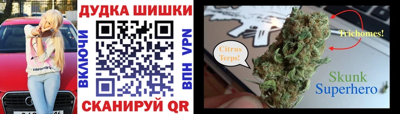 Купить где  Липецк  Марихуана сатива 